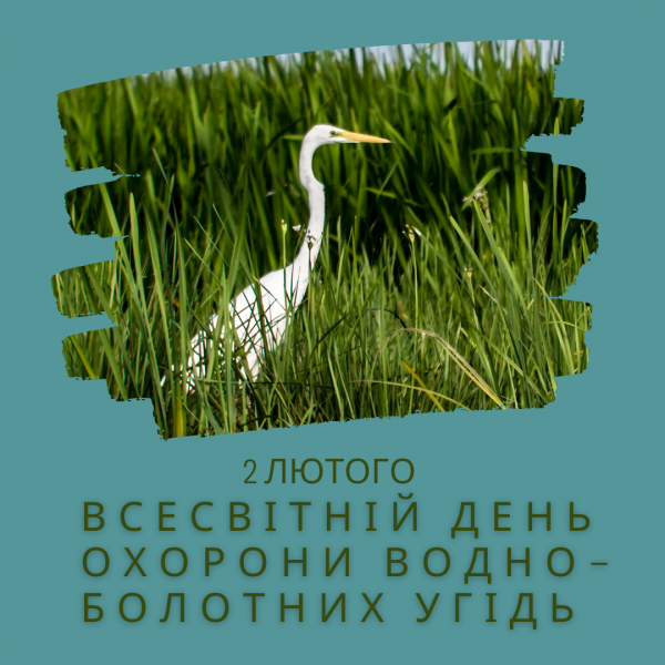 Щорічно 2 лютого відзначається День водно-болотних угідь.
