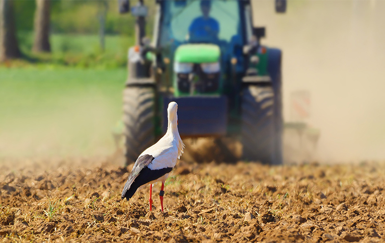 Інформація щодо забезпечення роботи аграріїв в полях під час коменданської години