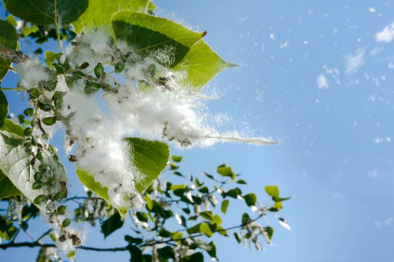 Пам’ятка   населенню
