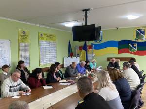 Засідання виконавчого комітету.