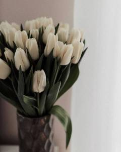 Зі святом весни та краси!