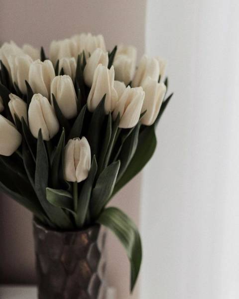 Зі святом весни та краси!