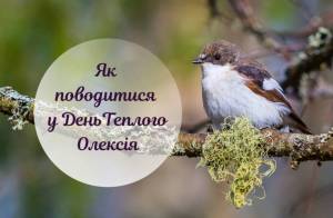 День Теплого Олекси: прикмети та що прийнято робити у це свято.