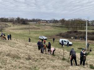 Триває озеленення Калинової долини!