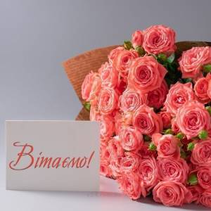 Сьогодні, 5 квітня центр надання адміністративних послуг Вороновицької територіальної громади відзначає 6 річницю з дня створення.