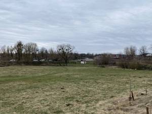 У Вороновицькій територіальній громаді висадили молоді саджанці дерев.