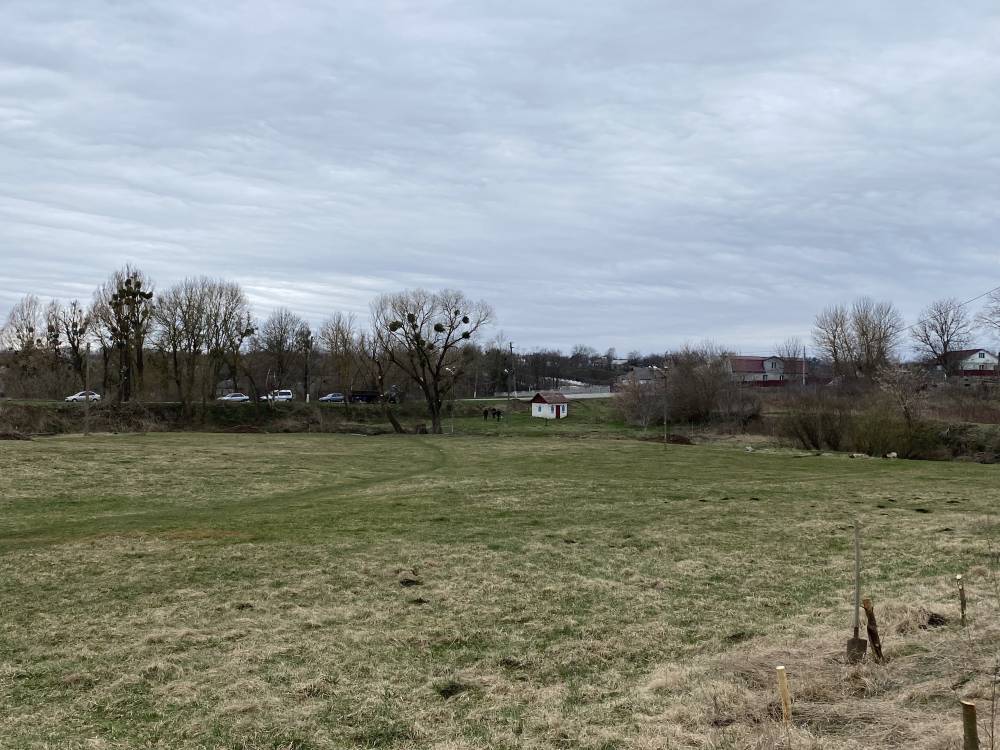 У Вороновицькій територіальній громаді висадили молоді саджанці дерев.