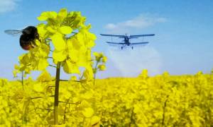 Управління фітосанітарної безпеки Головного управління Держпродспоживслужби у Вінницькій області закликає!