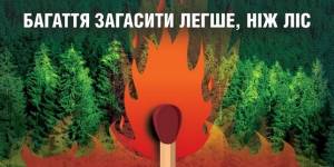 Дотримуйтесь правил пожежної безпеки під час перебування та відпочинку у лісі.
