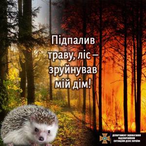 Щорічно пожежі в природних екосистемах завдають непоправної шкоди природі і державі.