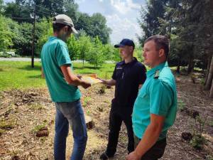 Рейдовий захід в лісах
