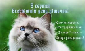 Всесвітній день кішок