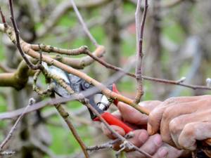 Шановні мешканці Вороновицької громади!