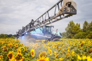 Десикація соняшнику