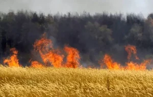 Вінницьке РУ ЦЗ та ПД ГУ ДСНС України у Вінницькій області нагадує правила пожежної безпеки під час зернозбиральної кампанії 2026 року