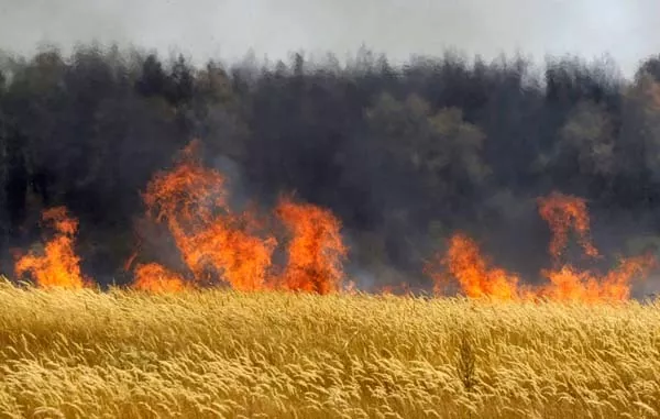 Вінницьке РУ ЦЗ та ПД ГУ ДСНС України у Вінницькій області нагадує правила пожежної безпеки під час зернозбиральної кампанії 2026 року